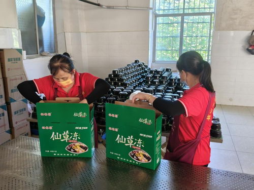 年顺食品厂 守护赣南餐桌安全，共筑健康生活新未来